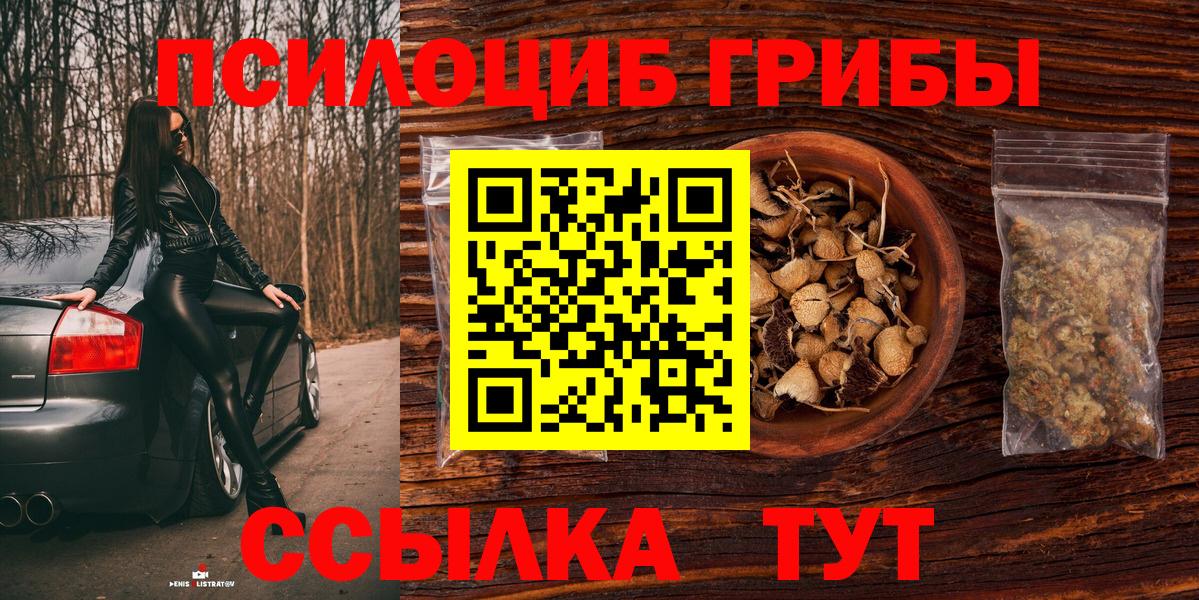 Псилоцибиновые грибы Cubensis  Вход с VPN  Псилоцибиновые грибы Psilocybine cubensis  Чернушка 